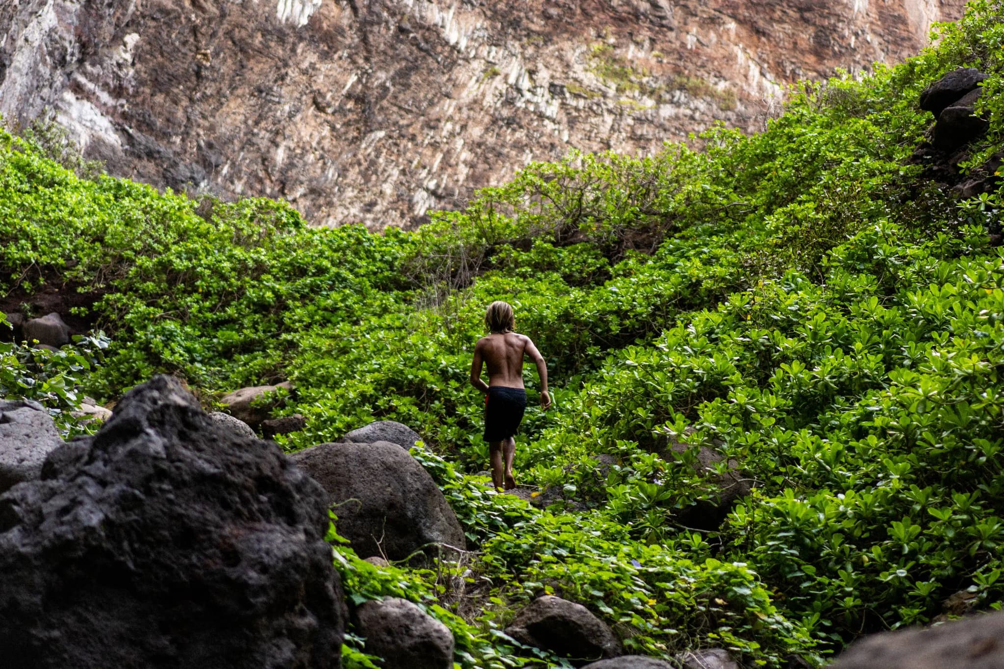 Boy exploring lush green nature trail adventure